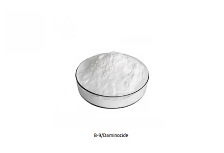 Daminozide(B-NINE/B9) CAS 1596-84-5