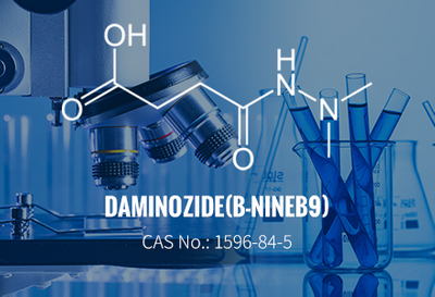 Daminozide(B-NINE/B9) CAS 1596-84-5