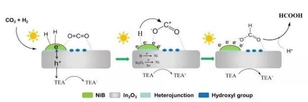 Hydrogenation of carbon dioxide to formic acid